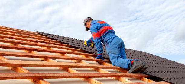 Best Sheet Metal Roofing  in Zelienople, PA