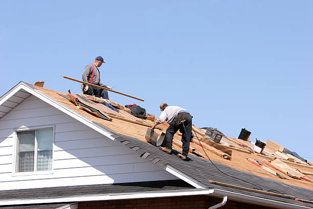 Best Roof Leak Repair  in Zelienople, PA