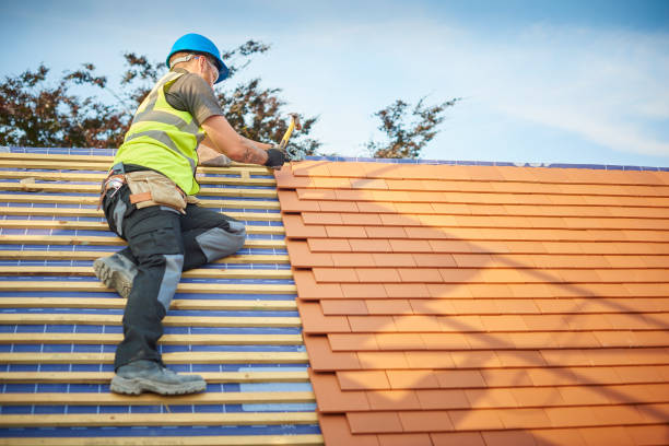 Best Roof Ventilation Installation  in Zelienople, PA