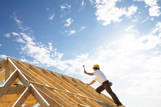 Best Asphalt Shingle Roofing  in Zelienople, PA